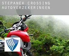 Stepanek Crossing  autoverzekeringen
