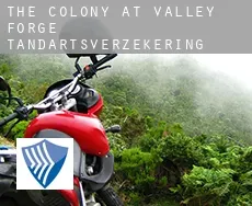 The Colony at Valley Forge  tandartsverzekering
