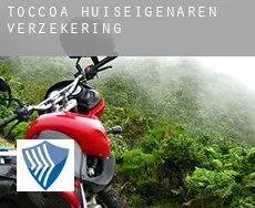 Toccoa huiseigenaren verzekering