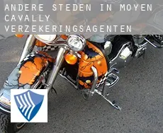 Andere steden in Moyen-Cavally  verzekeringsagenten