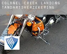 Colonel Creek Landing tandartsverzekering
