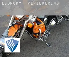 Economy  verzekering