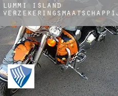 Lummi Island  verzekeringsmaatschappij