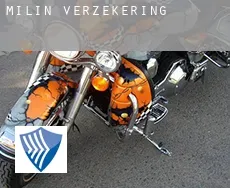 Milín  verzekering