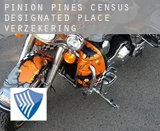 Pinion Pines  verzekering