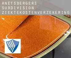 Anetsberger's Subdivision  ziektekostenverzekering