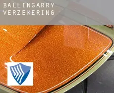 Ballingarry  verzekering