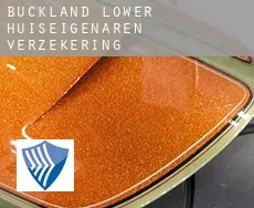 Buckland Lower  huiseigenaren verzekering