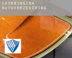 Chinbingina  autoverzekering