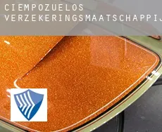 Ciempozuelos  verzekeringsmaatschappij