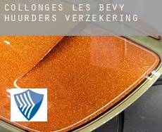 Collonges-lès-Bévy huurders verzekering