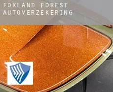 Foxland Forest  autoverzekering