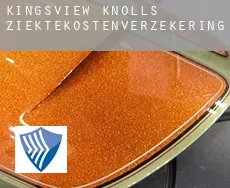 Kingsview Knolls  ziektekostenverzekering