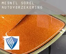 Mesnil-Sorel  autoverzekering