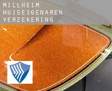 Millheim  huiseigenaren verzekering