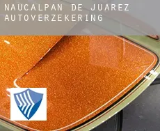 Naucalpan de Juárez  autoverzekering