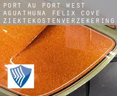 Port au Port West-Aguathuna-Felix Cove  ziektekostenverzekering