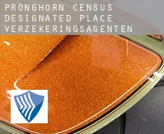 Pronghorn  verzekeringsagenten