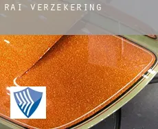 Rai verzekering
