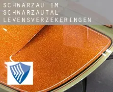 Schwarzau im Schwarzautal  levensverzekeringen