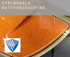 Springdale  autoverzekering