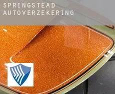 Springstead  autoverzekering