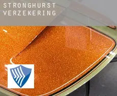 Stronghurst  verzekering