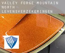 Valley Forge Mountain North  levensverzekeringen