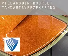 Villarodin-Bourget  tandartsverzekering