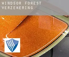Windsor Forest  verzekering