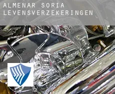 Almenar de Soria  levensverzekeringen