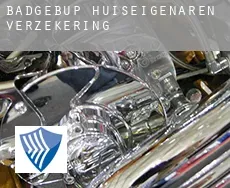 Badgebup  huiseigenaren verzekering