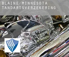 Blaine, Minnesota  tandartsverzekering