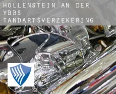 Hollenstein an der Ybbs  tandartsverzekering