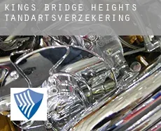 Kings Bridge Heights  tandartsverzekering