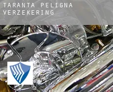 Taranta Peligna  verzekering