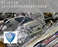 Ullrich  levensverzekeringen