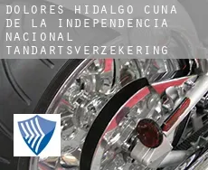 Dolores Hidalgo Cuna de la Independencia Nacional  tandartsverzekering