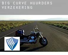 Big Curve  huurders verzekering