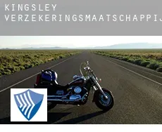 Kingsley  verzekeringsmaatschappij