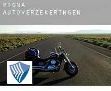 Pigna  autoverzekeringen