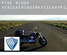 Pine Ridge  verzekeringsmaatschappij