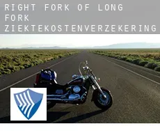 Right Fork of Long Fork  ziektekostenverzekering