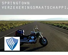 Springtown  verzekeringsmaatschappij