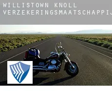 Willistown Knoll  verzekeringsmaatschappij