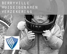 Berryville  huiseigenaren verzekering