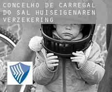 Carregal do Sal  huiseigenaren verzekering
