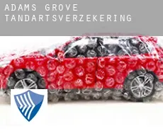 Adams Grove  tandartsverzekering