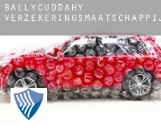 Ballycuddahy  verzekeringsmaatschappij