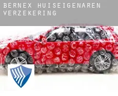 Bernex  huiseigenaren verzekering